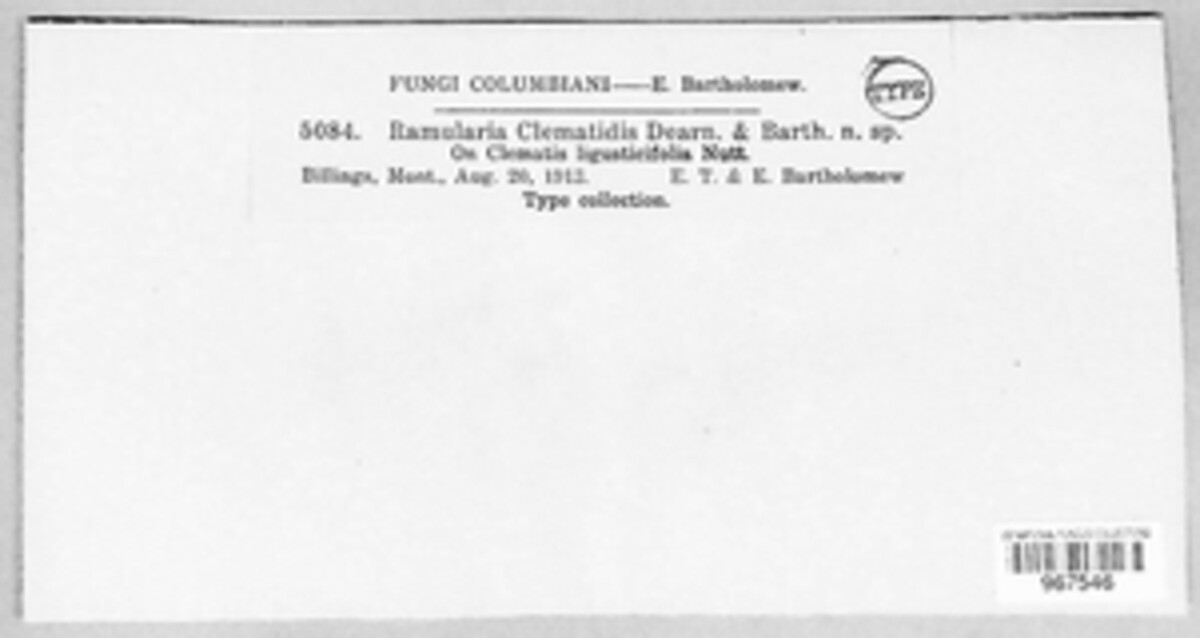 Ramularia clematidis image